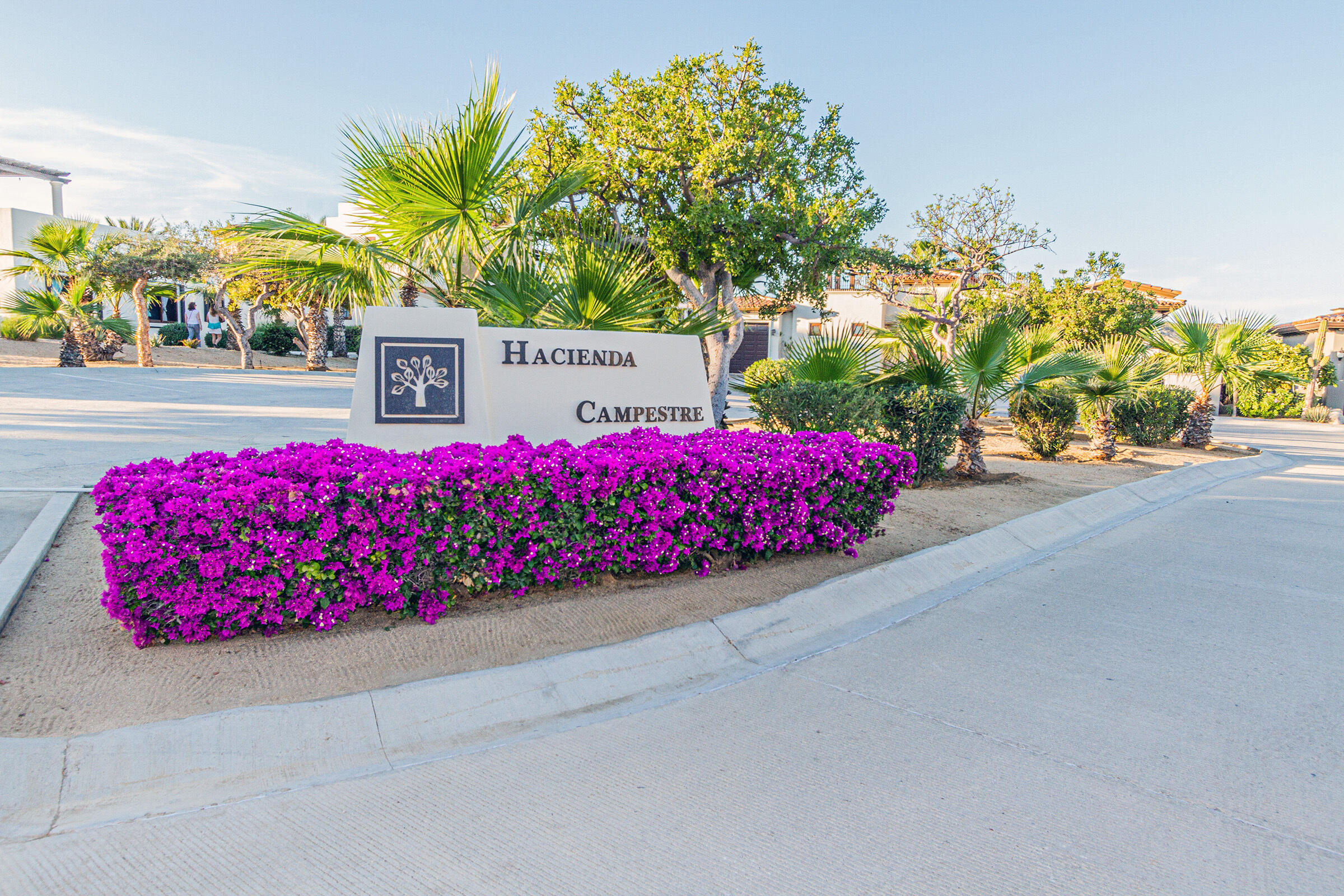 Fairway Sunrise, San Jose del Cabo, San Jose del Cabo, BS